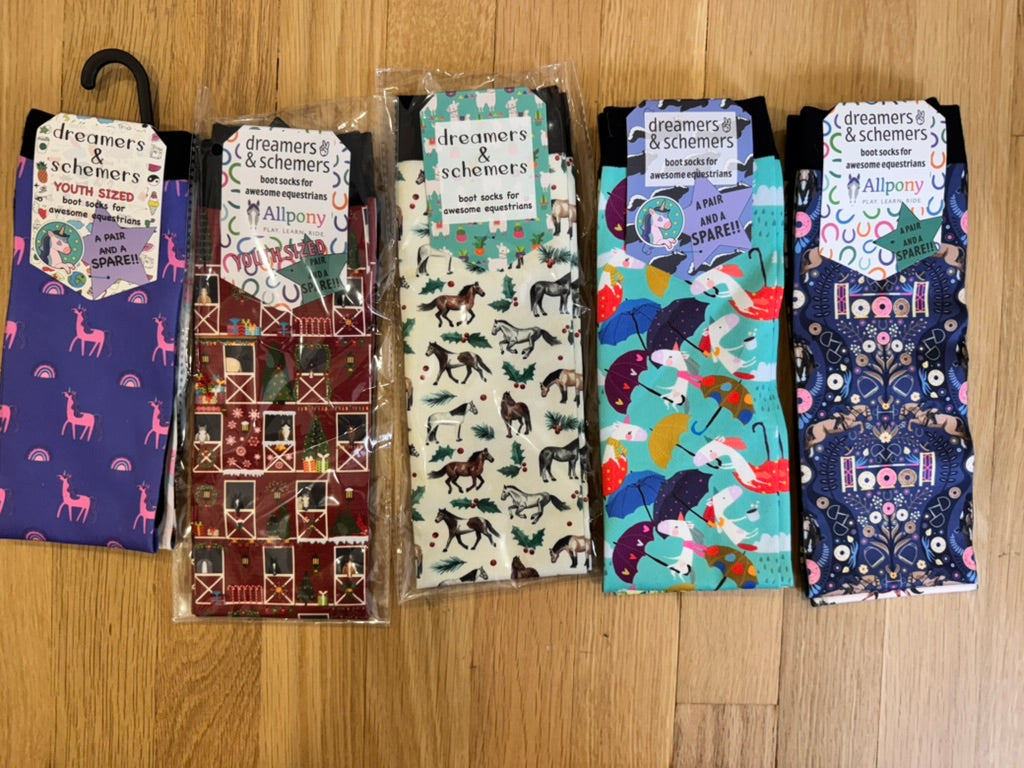 Dreamers N Schemers Riding Socks